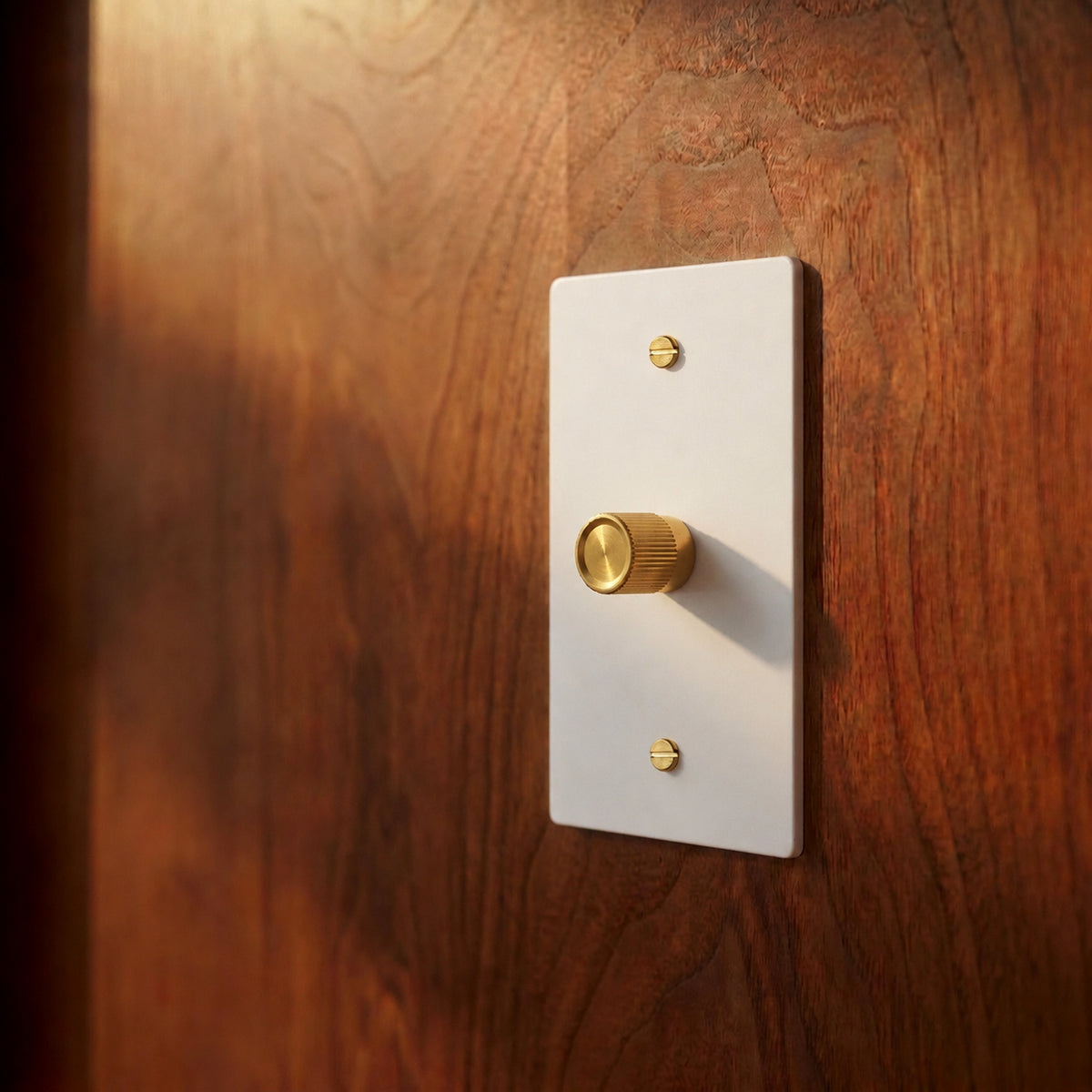 Brass Rotary Dimmer Switch installed in an interior, view 48 — seamless faceplate | CARRA HOME