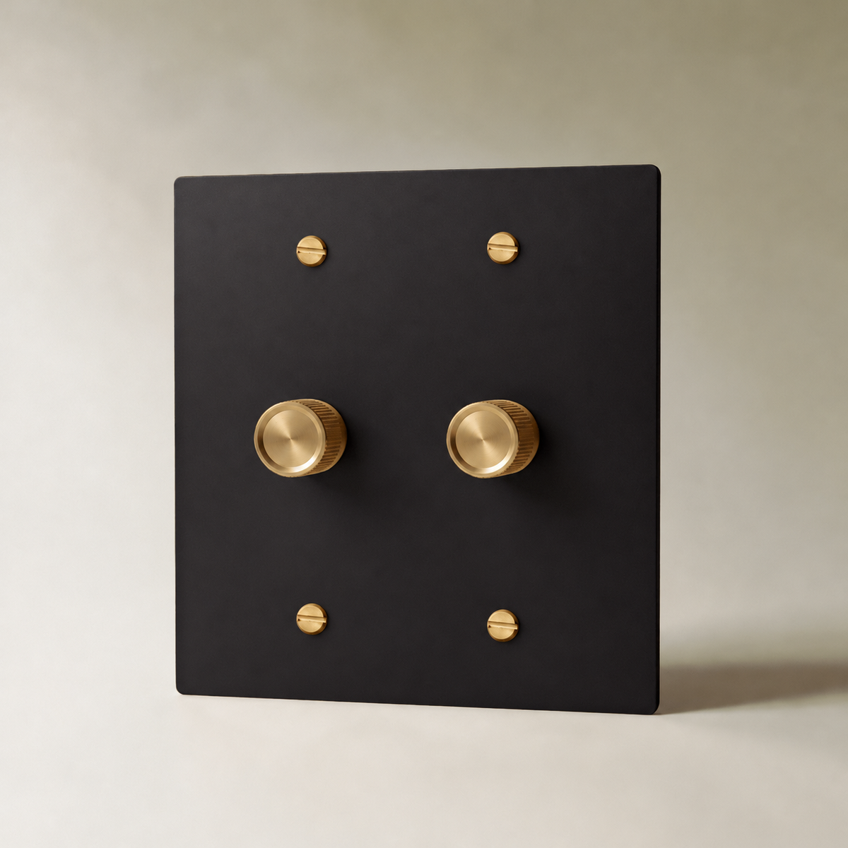 Brass Rotary Dimmer Switch, Night Black with Brass 2 Gang product view — seamless faceplate | CARRA HOME