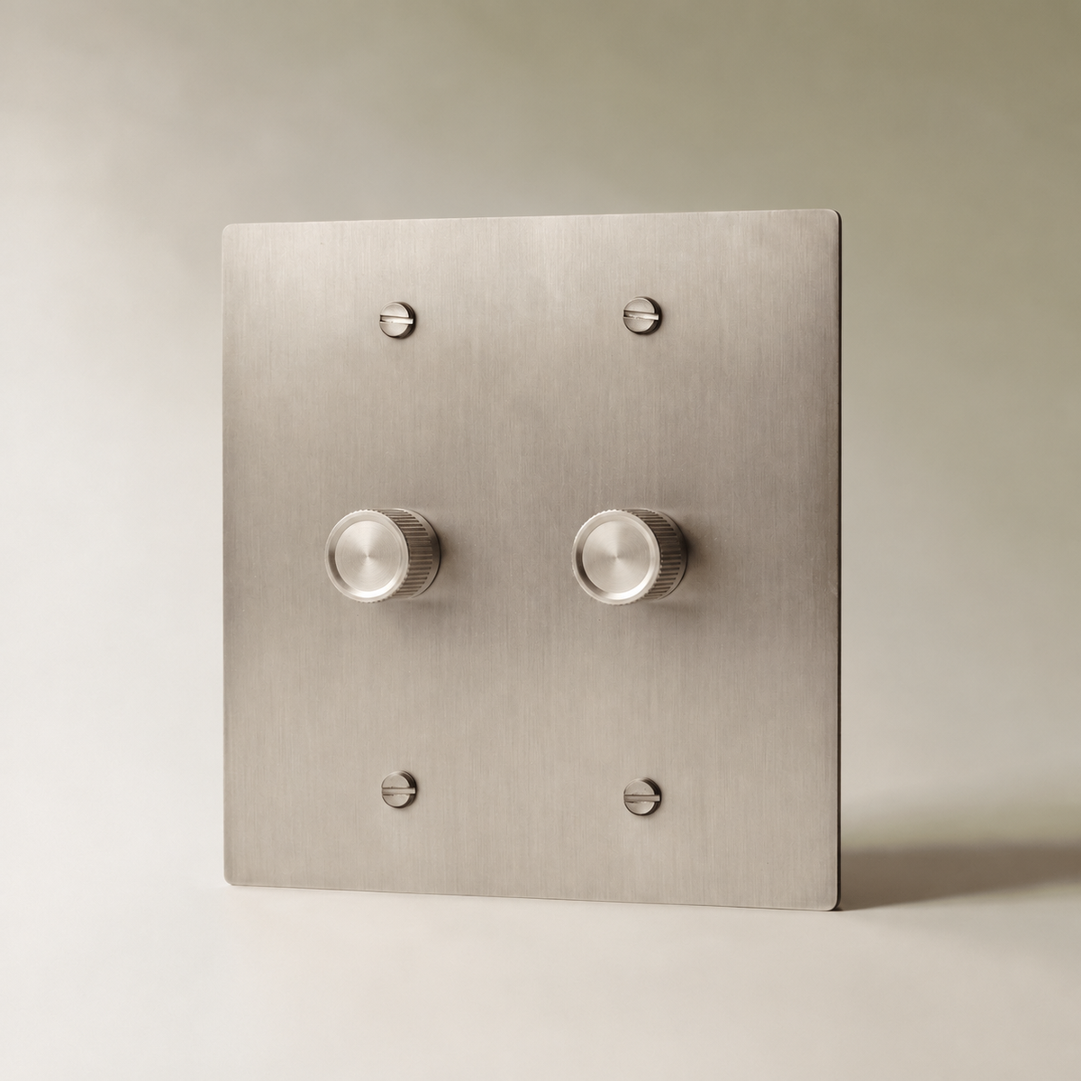 Brass Rotary Dimmer Switch, Stainless Steel 2 Gang product view — seamless faceplate | CARRA HOME