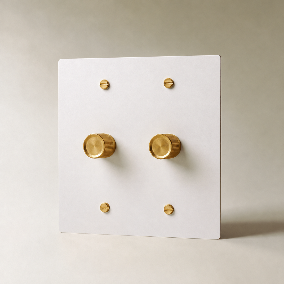 Brass Rotary Dimmer Switch, White with Brass 2 Gang product view — seamless faceplate | CARRA HOME