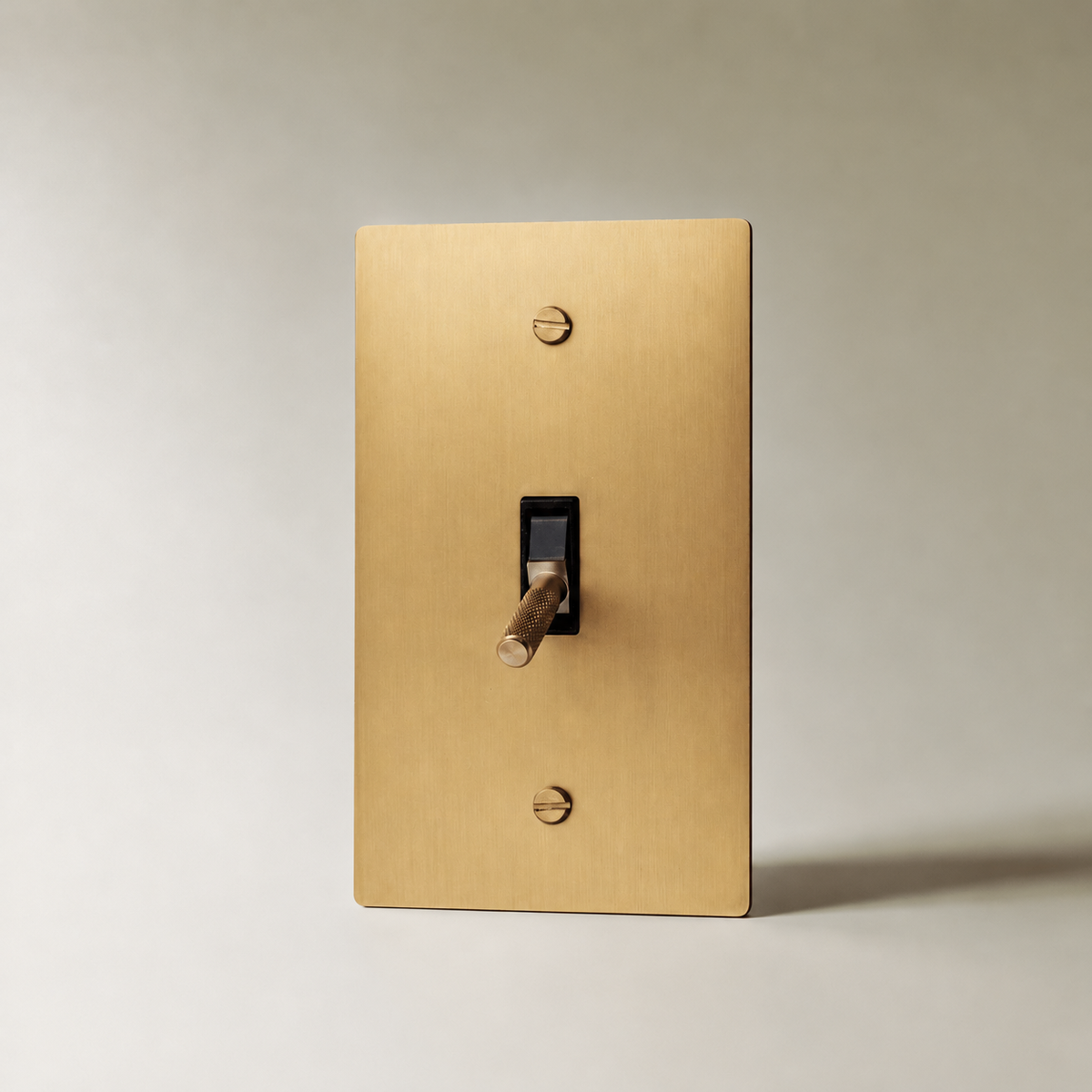 Brass Toggle Switch, Brass 1 Gang product view — seamless faceplate | CARRA HOME