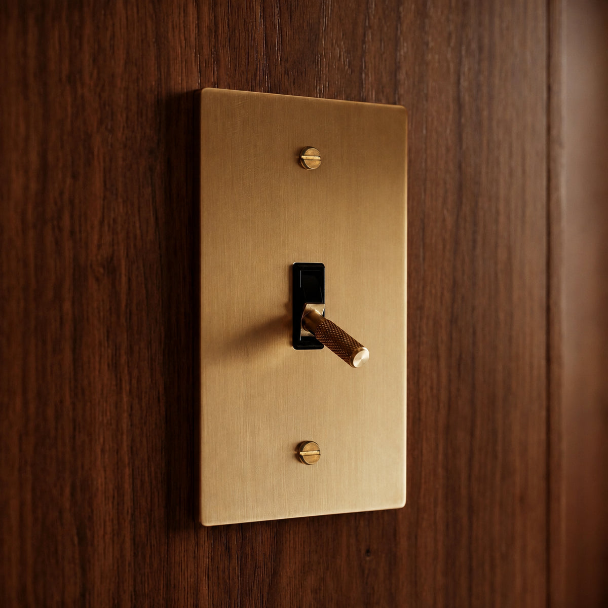 Brass Toggle Switch installed in an interior, view 37 — seamless faceplate | CARRA HOME