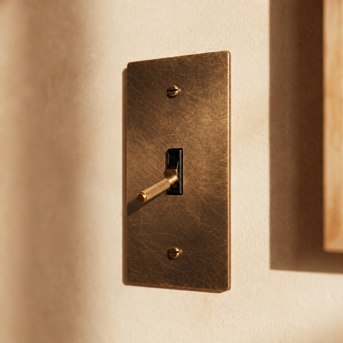 Brass Toggle Switch installed in an interior, view 42 — seamless faceplate | CARRA HOME