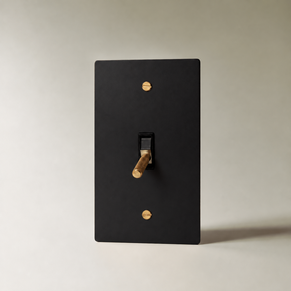 Brass Toggle Switch, Night Black with Brass 1 Gang product view — seamless faceplate | CARRA HOME