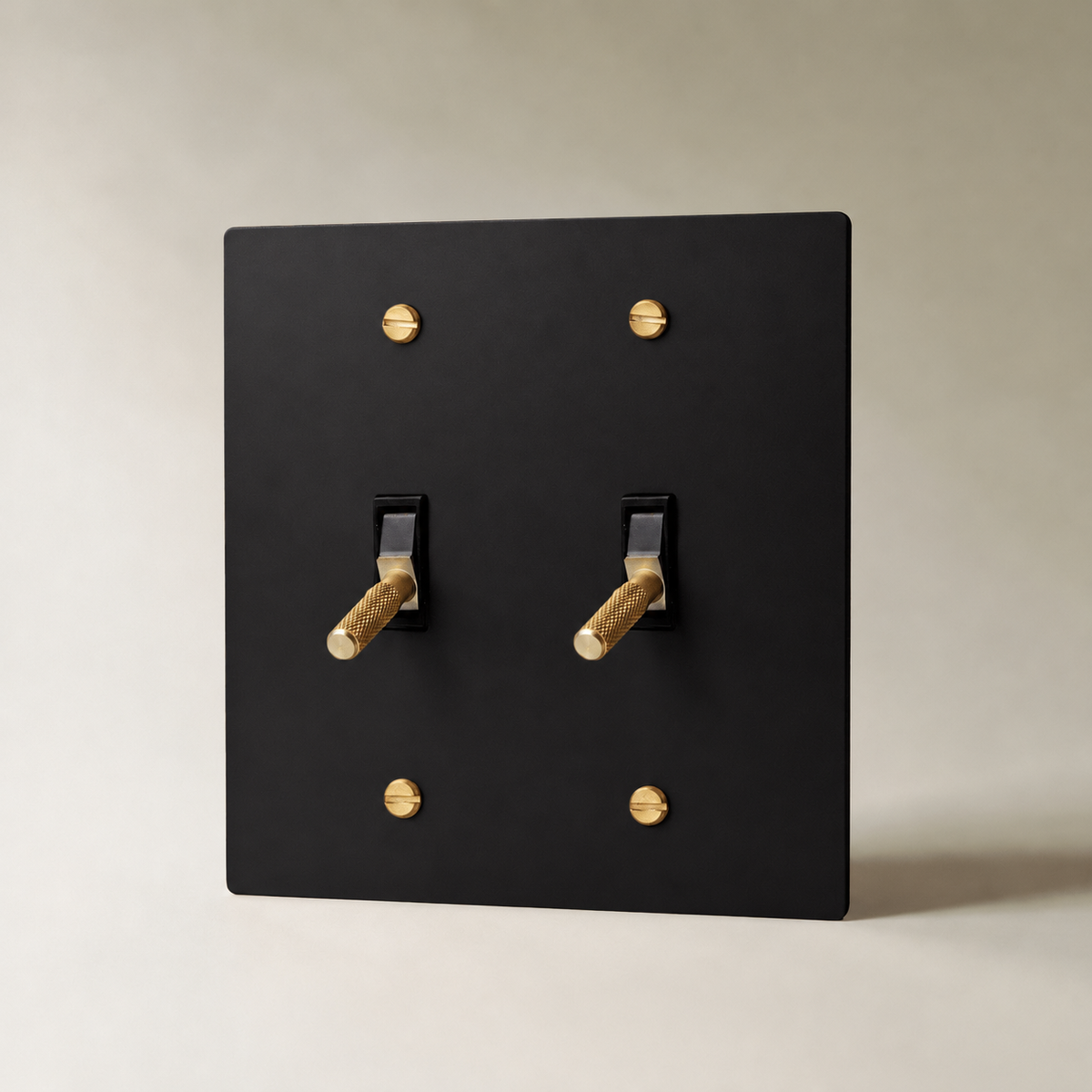 Brass Toggle Switch, Night Black with Brass 2 Gang product view — seamless faceplate | CARRA HOME