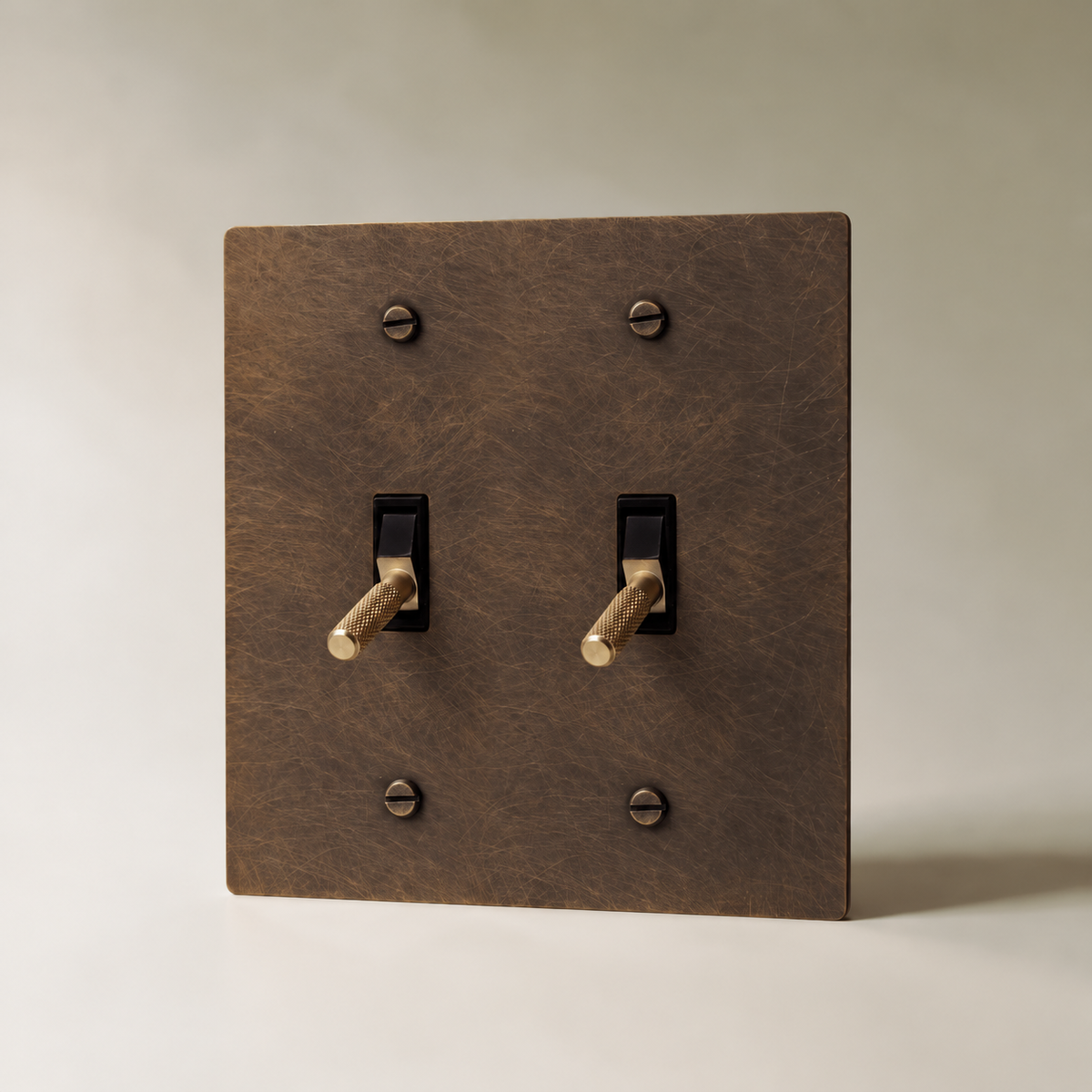 Brass Toggle Switch, Vintage Brass with Patina 2 Gang product view — seamless faceplate | CARRA HOME