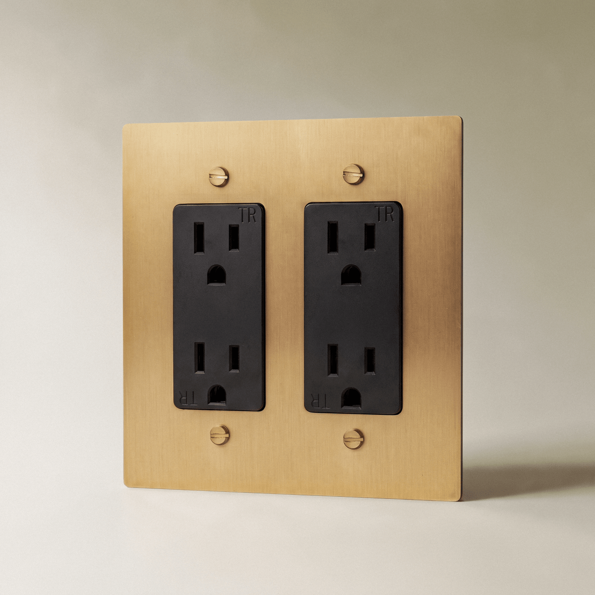The Brass Outlet (1 to 4 Gang) — Brass, 2 Gang, Standard | CARRA HOME