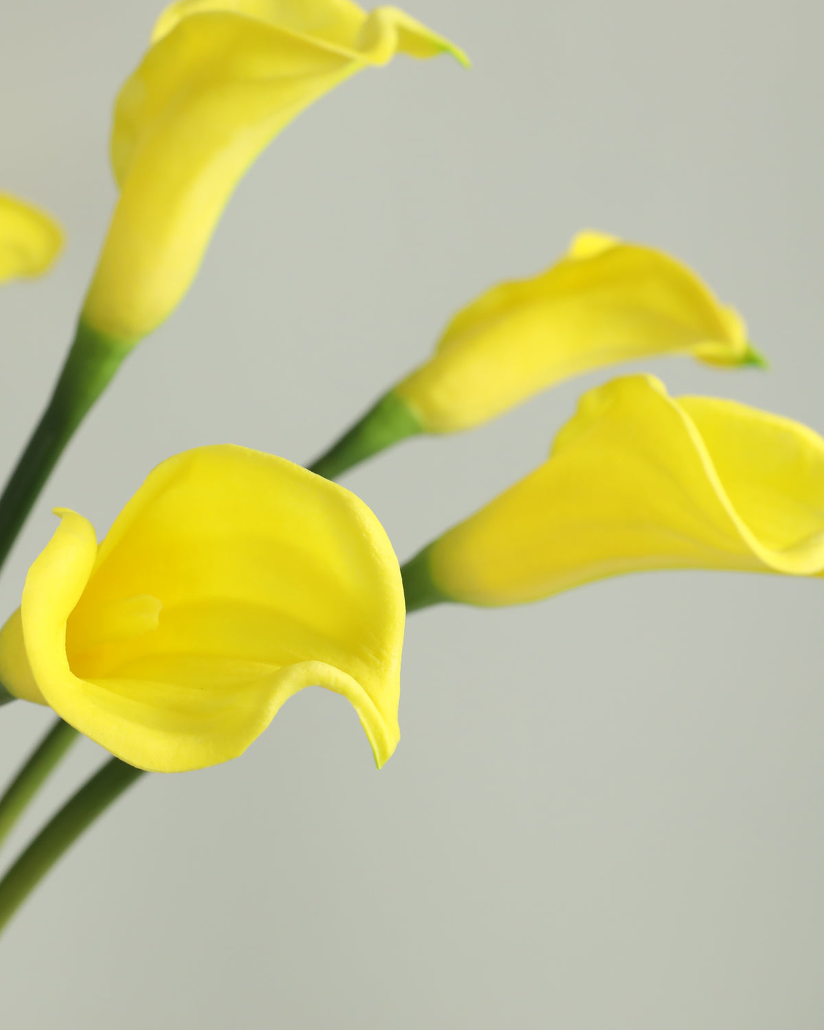 Large Real Touch Calla lily Yellow