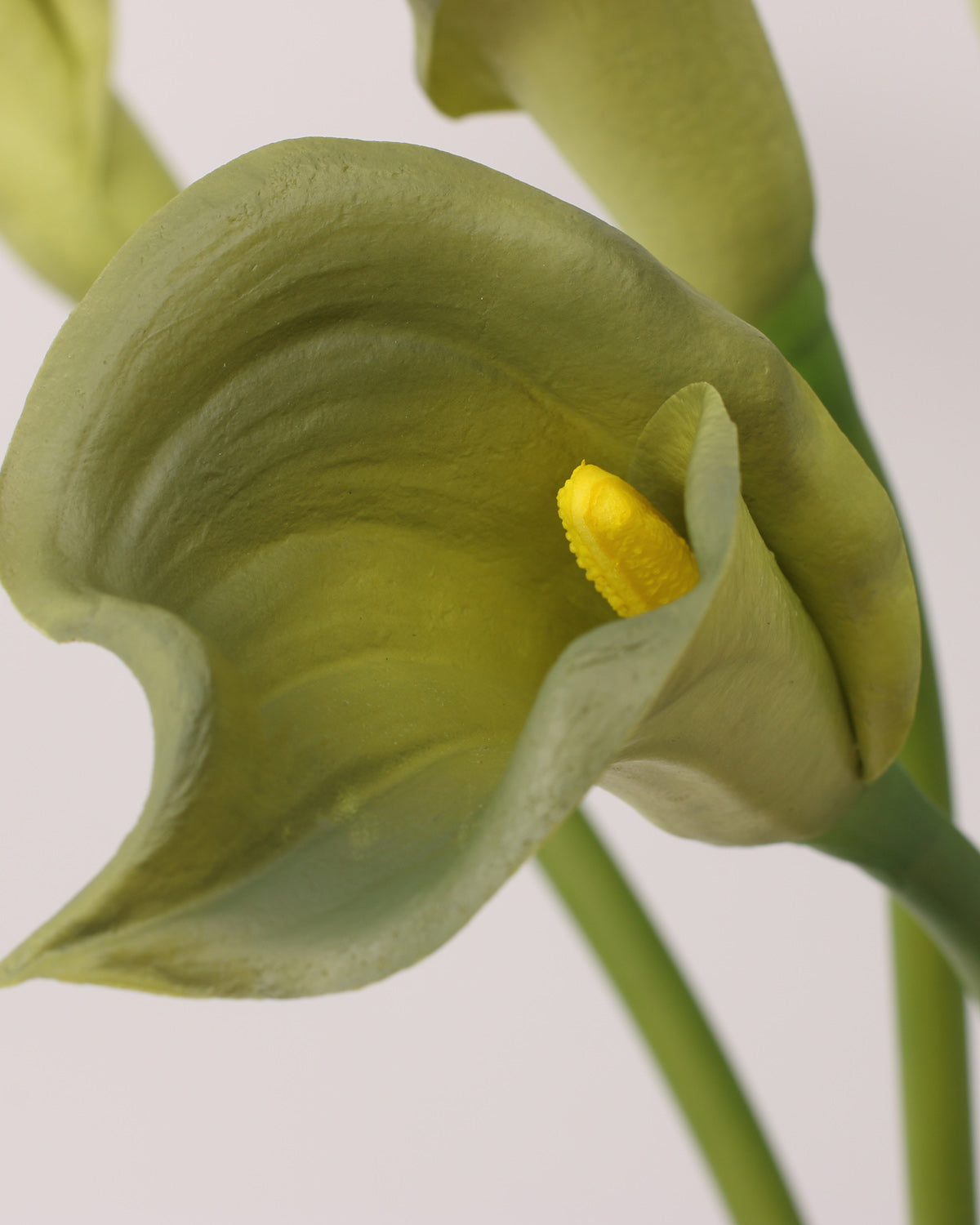 Artificial Real Touch Calla Lily Crocodile