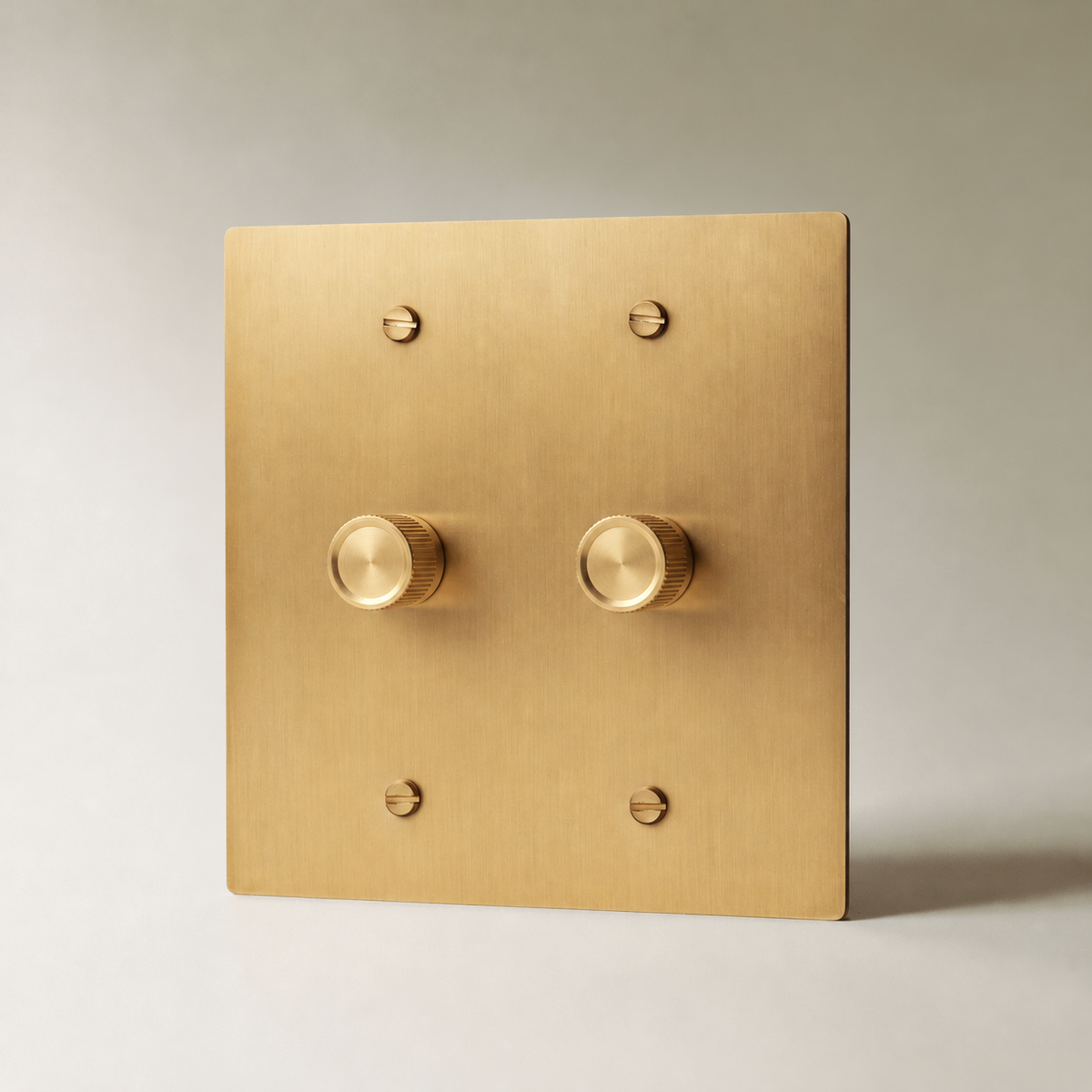 Brass Rotary Dimmer Switch, Brass 2 Gang product view — seamless faceplate | CARRA HOME
