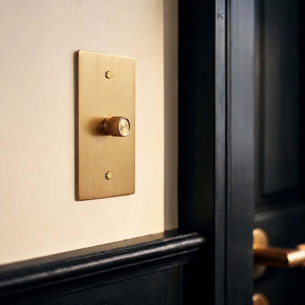 Brass Rotary Dimmer Switch installed in an interior, view 37 — seamless faceplate | CARRA HOME