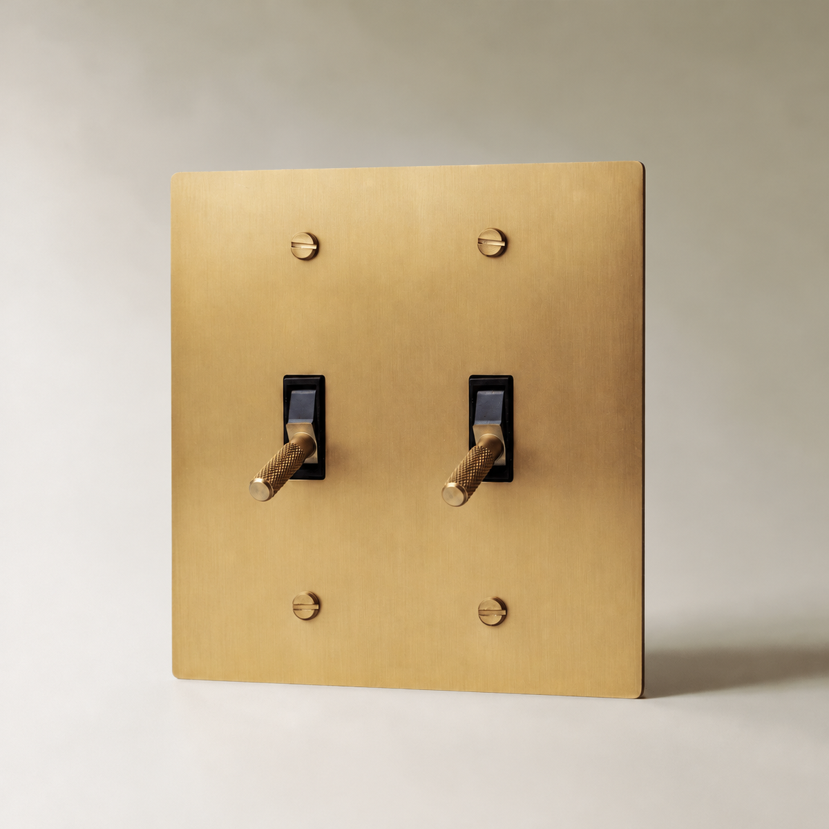 Brass Toggle Switch, Brass 2 Gang product view — seamless faceplate | CARRA HOME