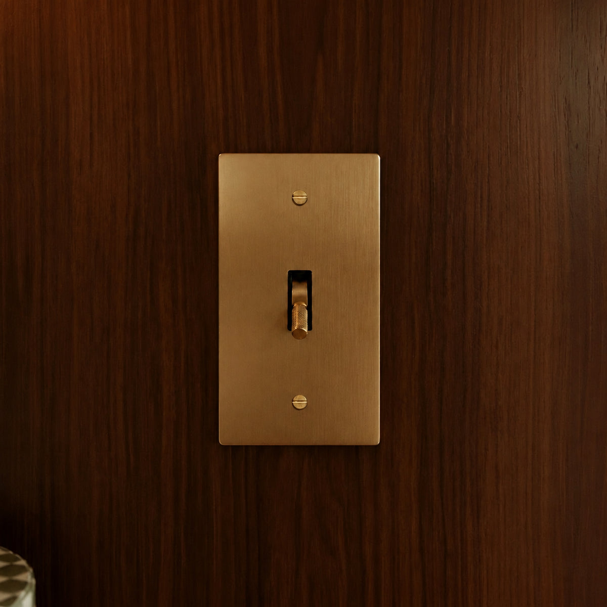 Brass Toggle Switch installed in an interior, view 38 — seamless faceplate | CARRA HOME