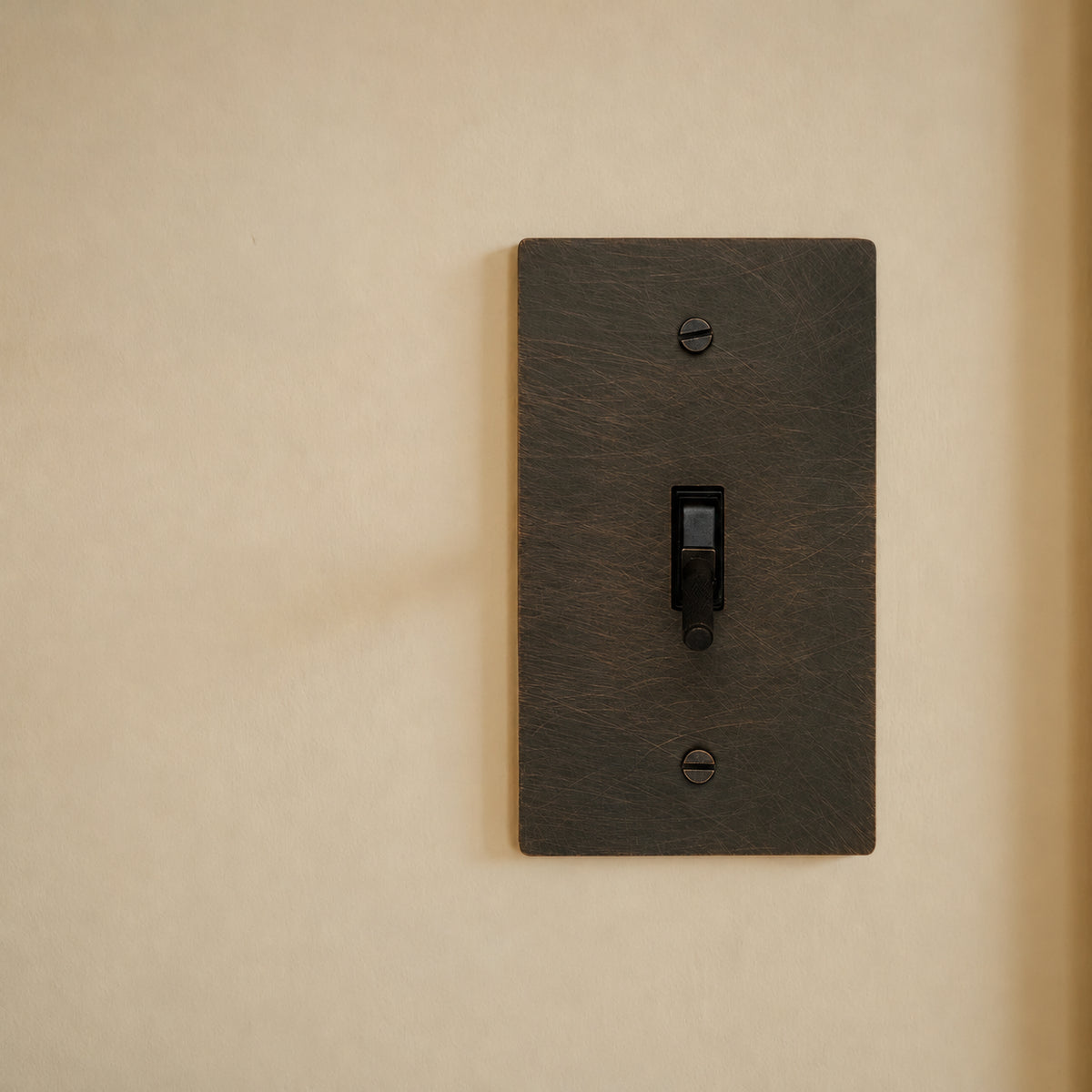 Brass Toggle Switch installed in an interior, view 49 — seamless faceplate | CARRA HOME