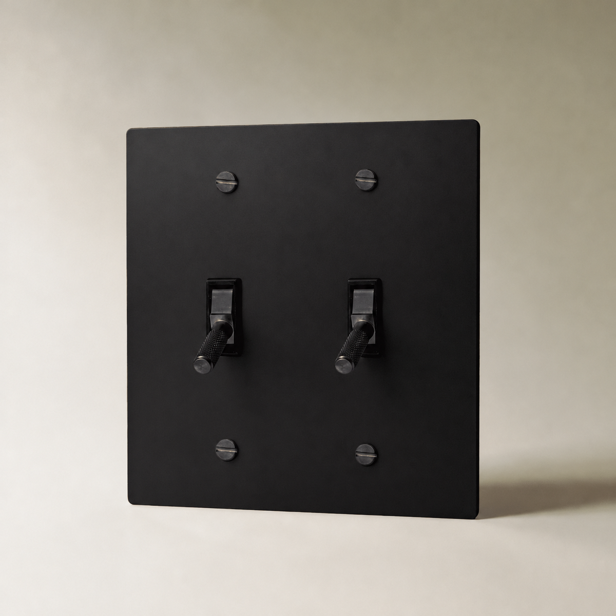 Brass Toggle Switch, Night Black 2 Gang product view — seamless faceplate | CARRA HOME
