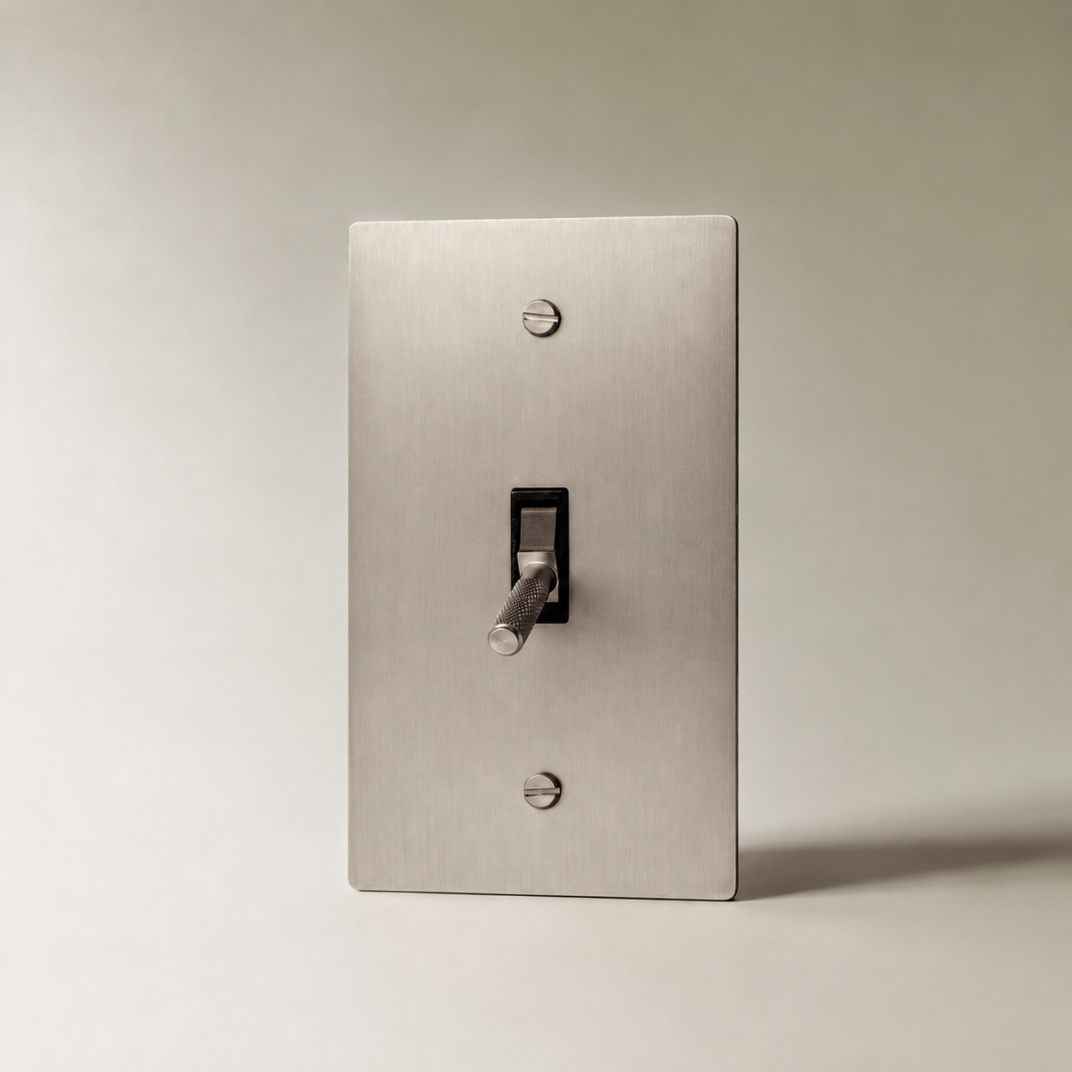 Brass Toggle Switch, Stainless Steel 1 Gang product view — seamless faceplate | CARRA HOME