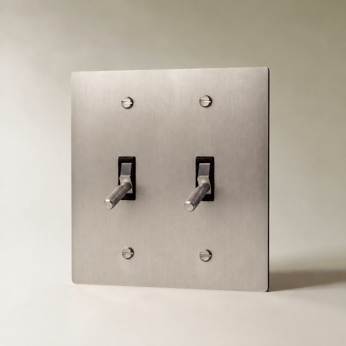 Brass Toggle Switch, Stainless Steel 2 Gang product view — seamless faceplate | CARRA HOME