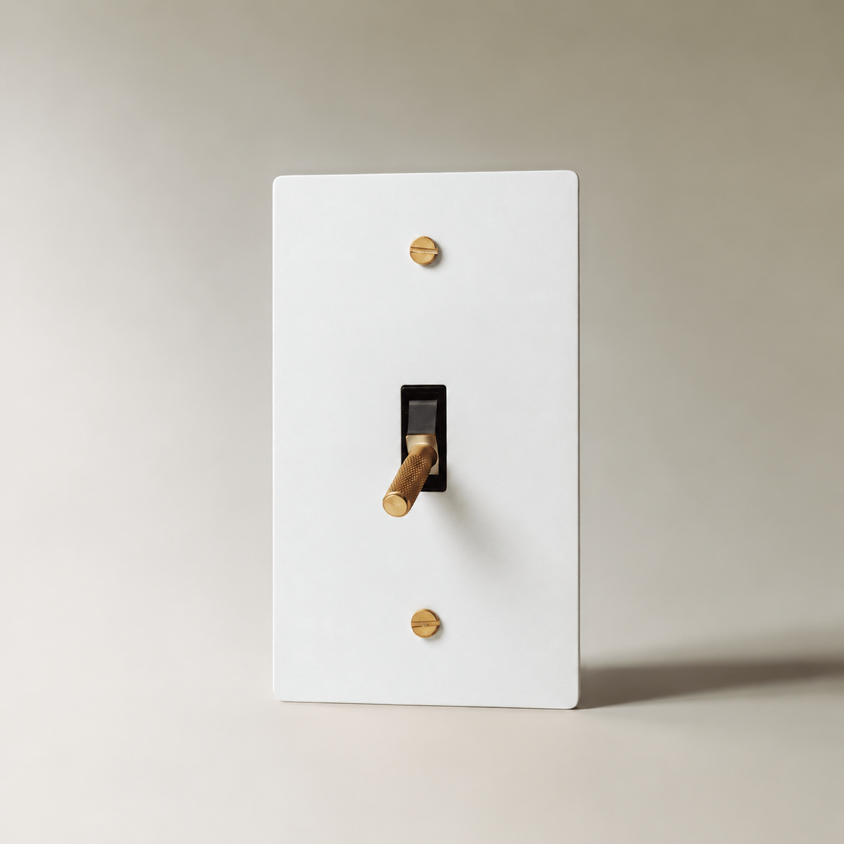 Brass Toggle Switch, White with Brass 1 Gang product view — seamless faceplate | CARRA HOME