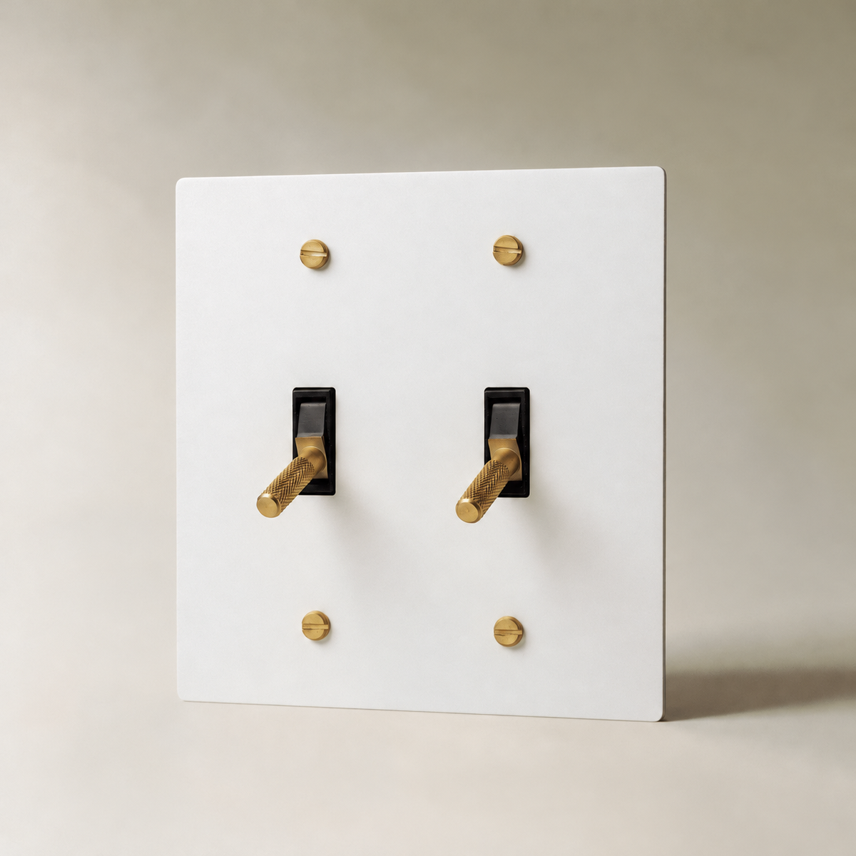 Brass Toggle Switch, White with Brass 2 Gang product view — seamless faceplate | CARRA HOME
