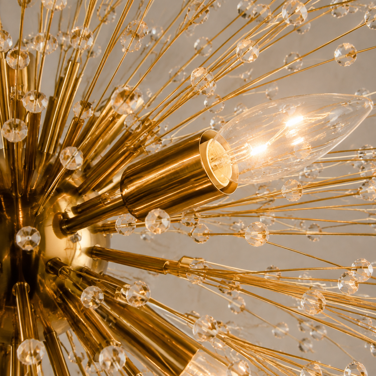 Dandelion crystal chandelier branch and crystal detail