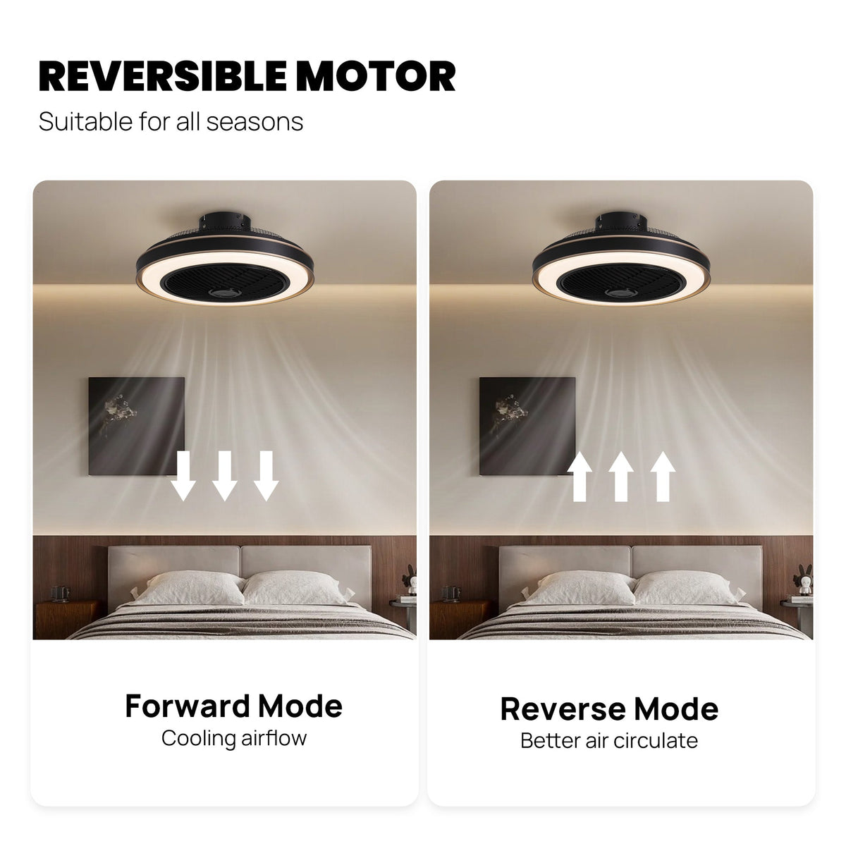 Nexa Ceiling Fan reversible motor — Forward Mode pushes cool air down for summer, Reverse Mode circulates warm air up for winter, all-season comfort with DC motor | CARRA HOME