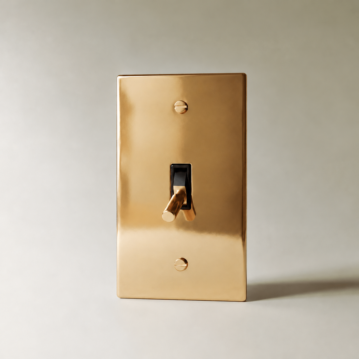 Polished Brass Toggle Switch, 1 Gang product view — seamless faceplate | CARRA HOME