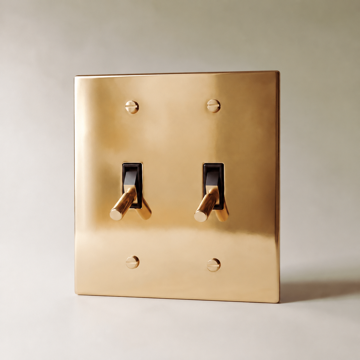 Polished Brass Toggle Switch, 2 Gang product view — seamless faceplate | CARRA HOME
