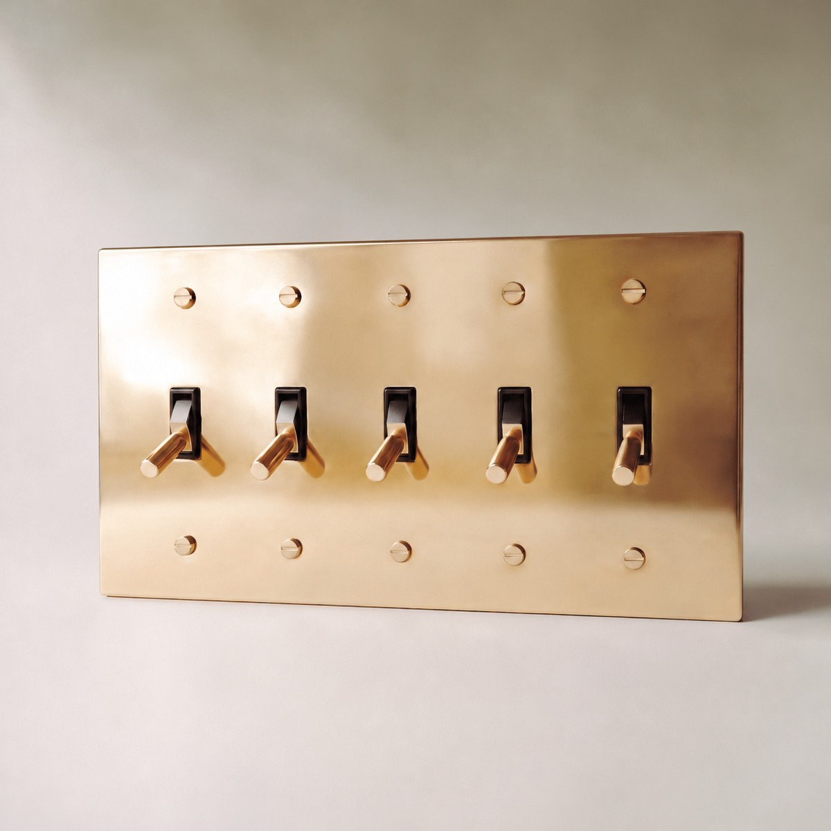 Polished Brass Toggle Switch, 5 Gang product view — seamless faceplate | CARRA HOME