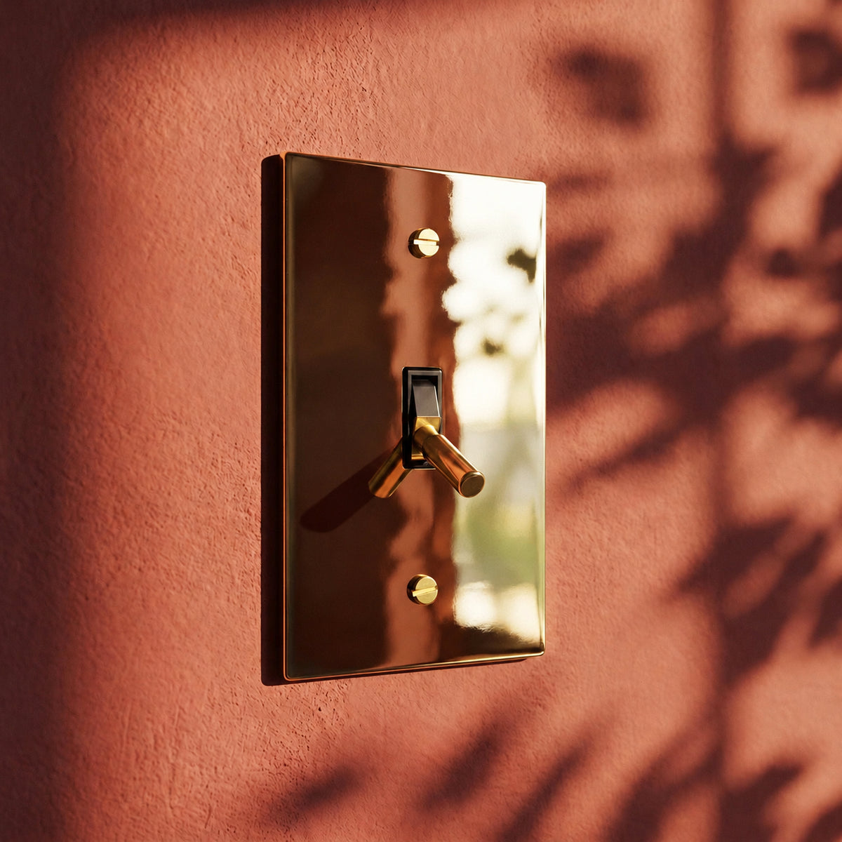 Polished Brass Toggle Switch installed in an interior, view 9 — seamless faceplate | CARRA HOME