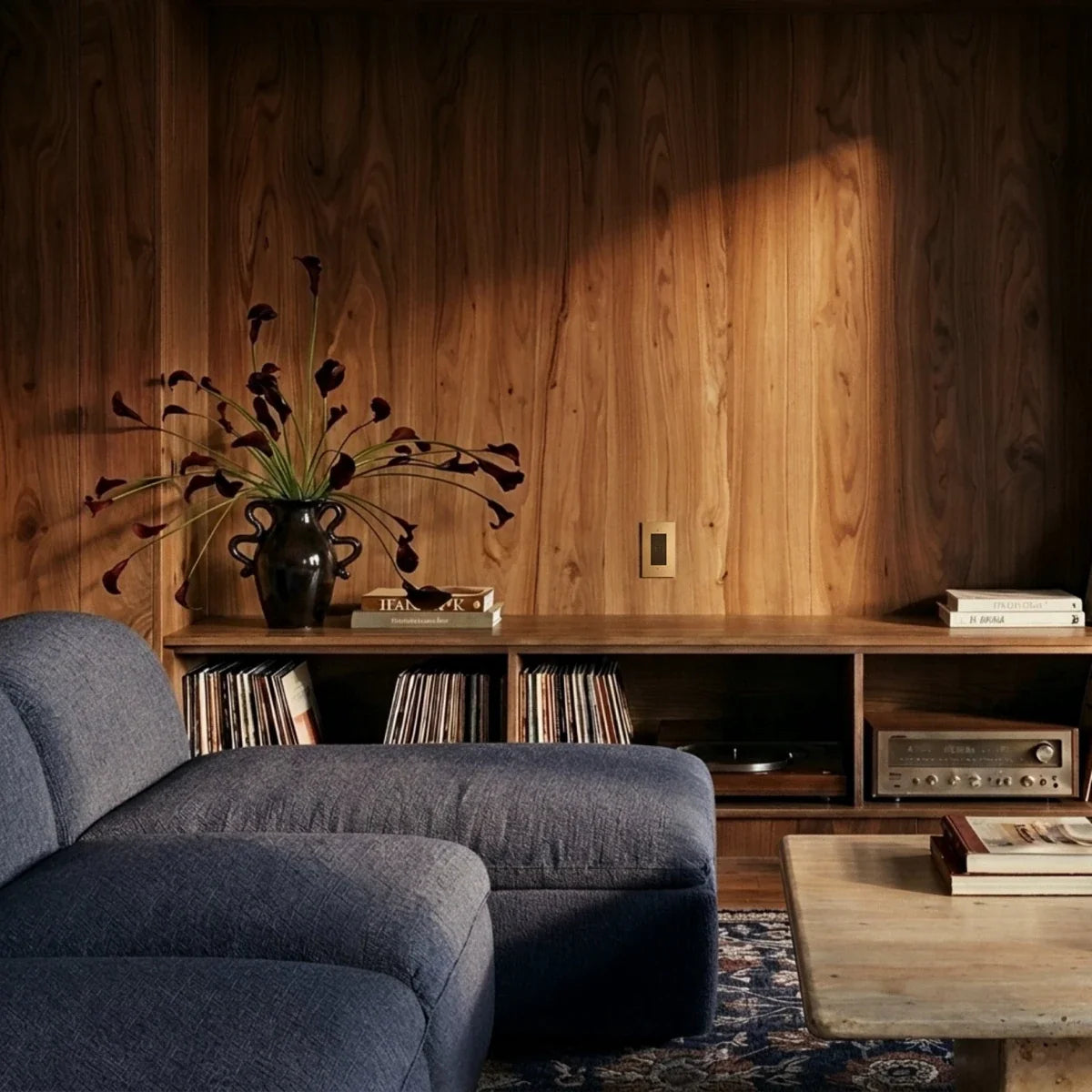 The Brass TV Socket (1-Gang) — socket in a room interior | CARRA HOME