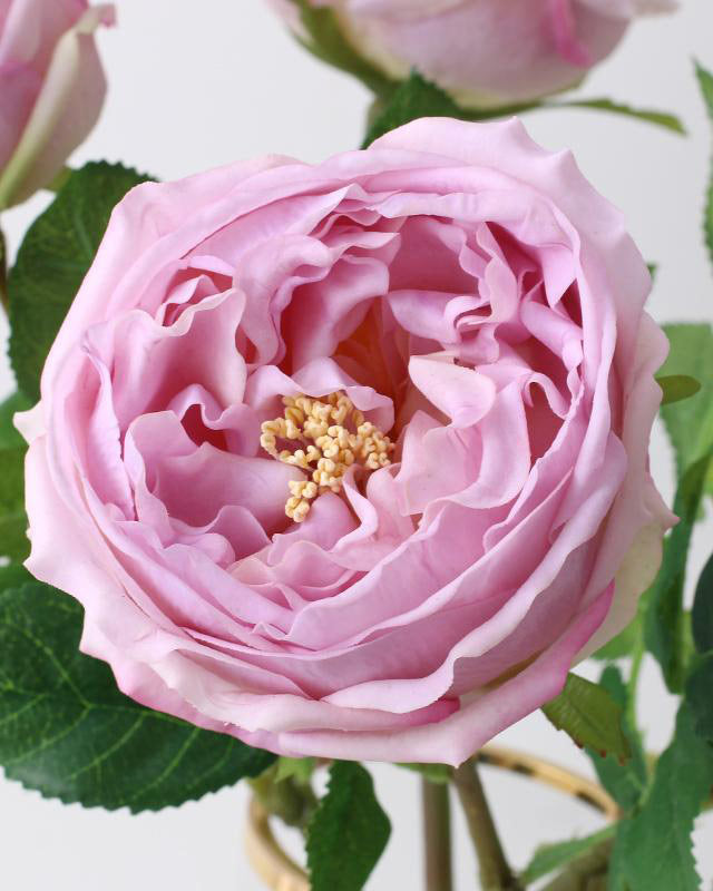 Best Real Touch Austin Cabbage Rose Violet