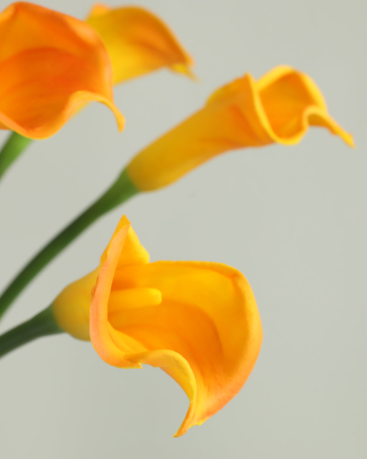 Best Artificial Calla lily Extra Long